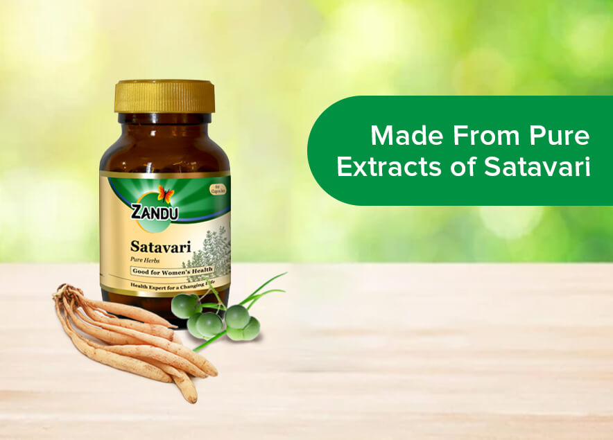 Zandu Satavari Lactation 60 Capsules