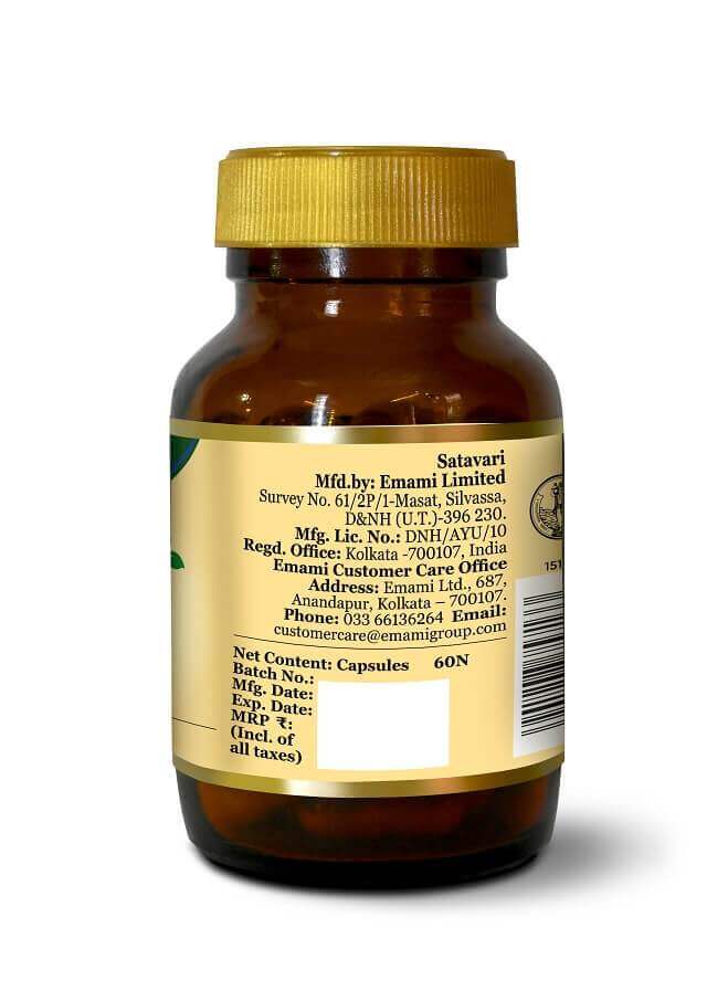 Zandu Satavari Lactation 60 Capsules