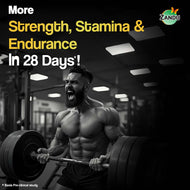 Zandu Shilajit Gold Plus Capsules