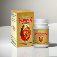 Shree Dhootpapeshwar Shilapravang Special 30 Tablets