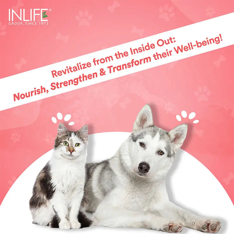 Inlife Hydrolyzed Type 1 & 3 Collagen Peptides Supplement for Pets  | Available in 3 flavors 200g