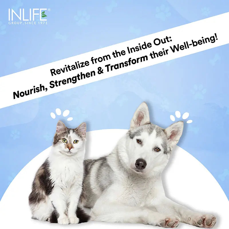 Inlife Hydrolyzed Type 1 & 3 Collagen Peptides Supplement for Pets  | Available in 3 flavors 200g