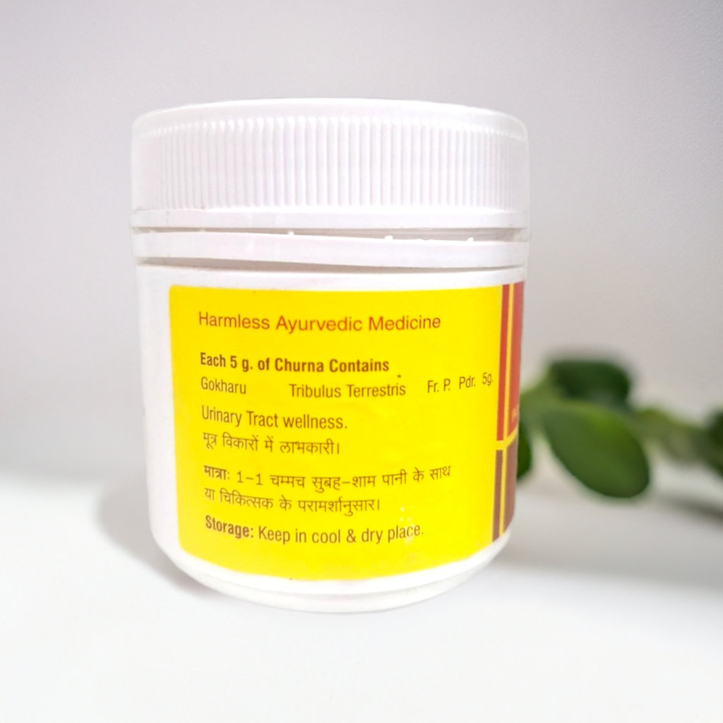 Vyas Gokharu Churna 100gm – Ayurvedic Herbal Supplement