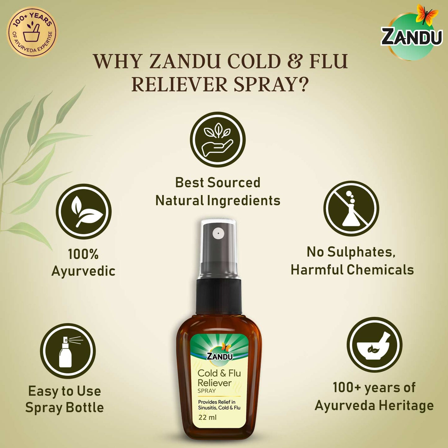 Zandu Cold & Flu Nasal Spray 22ml