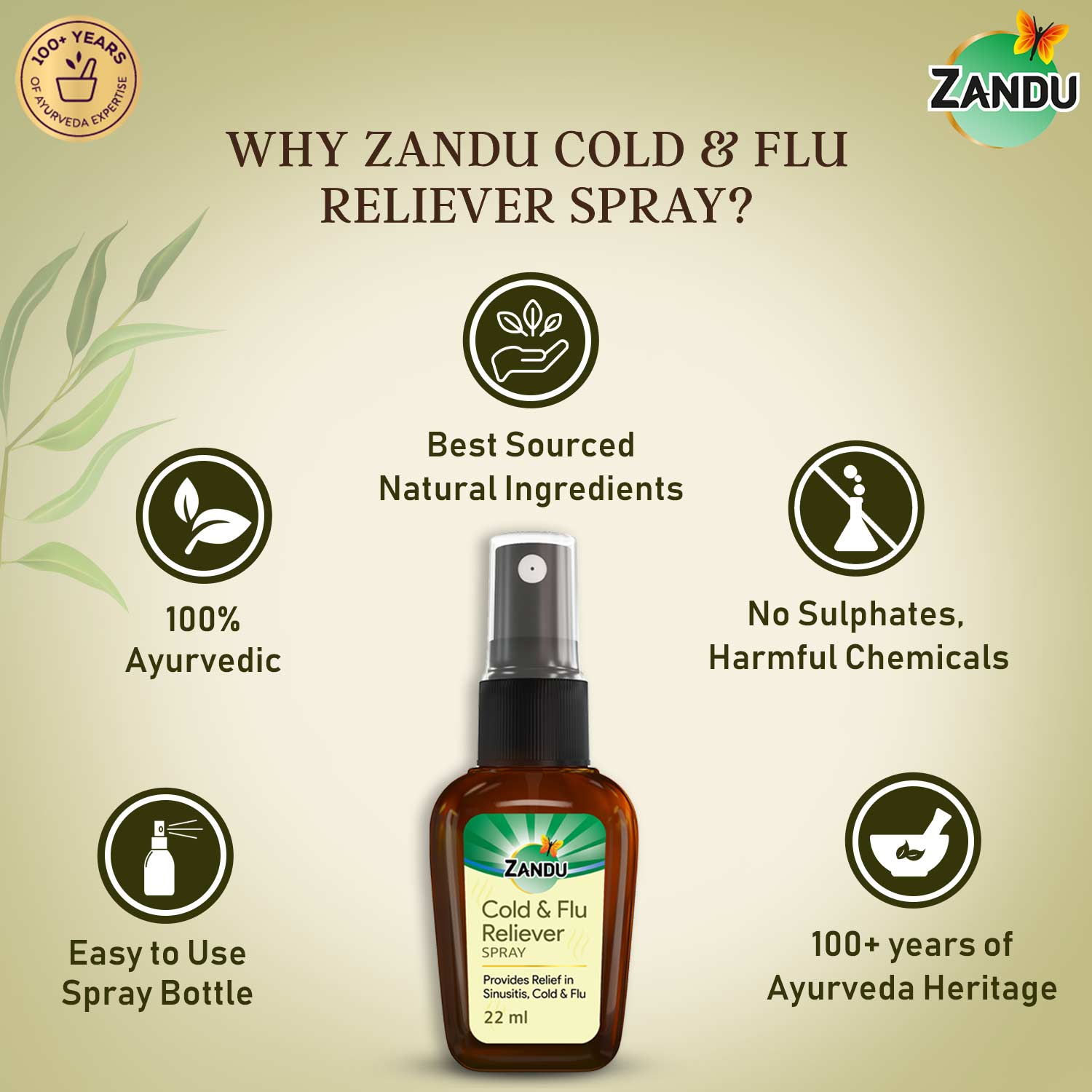 Zandu Cold & Flu Nasal Spray 22ml