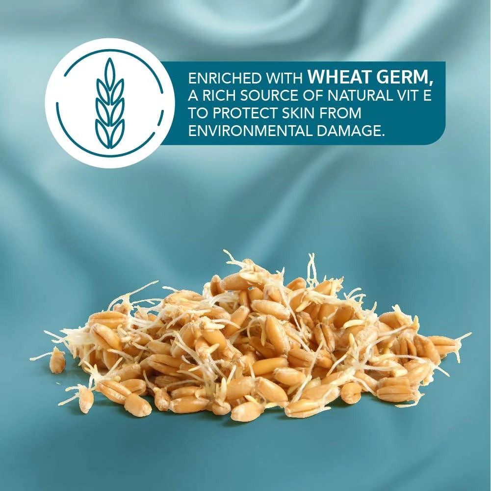 Himalaya Winter Defense Moisturizing Cream 100ml –Dry & Extra Dry Skin