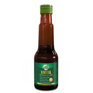 Zandu Livital Syrup (200 ml)