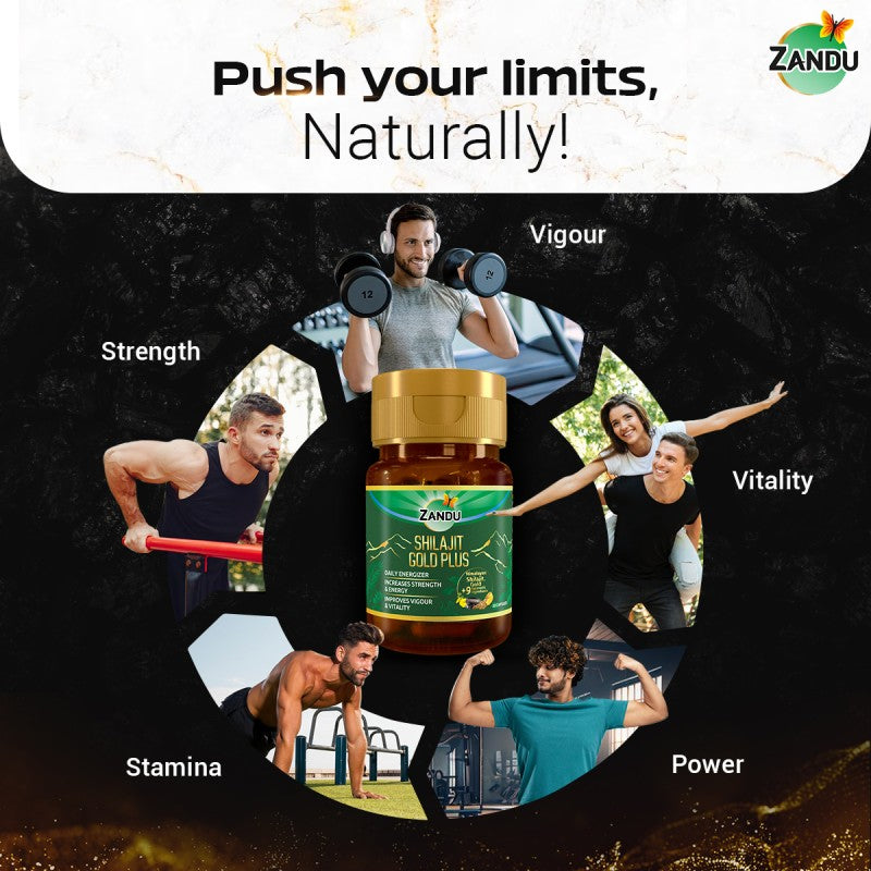 Zandu Shilajit Gold Plus Capsules