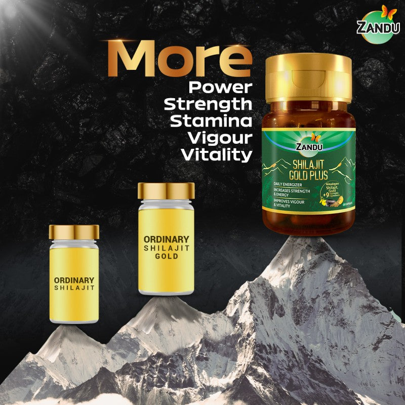 Ultimate Combo for Ultimate Energy & Stamina 20 Capsules