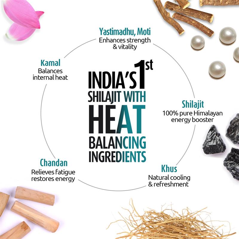 Zandu Shilajit Cool Rush 60 Capsules