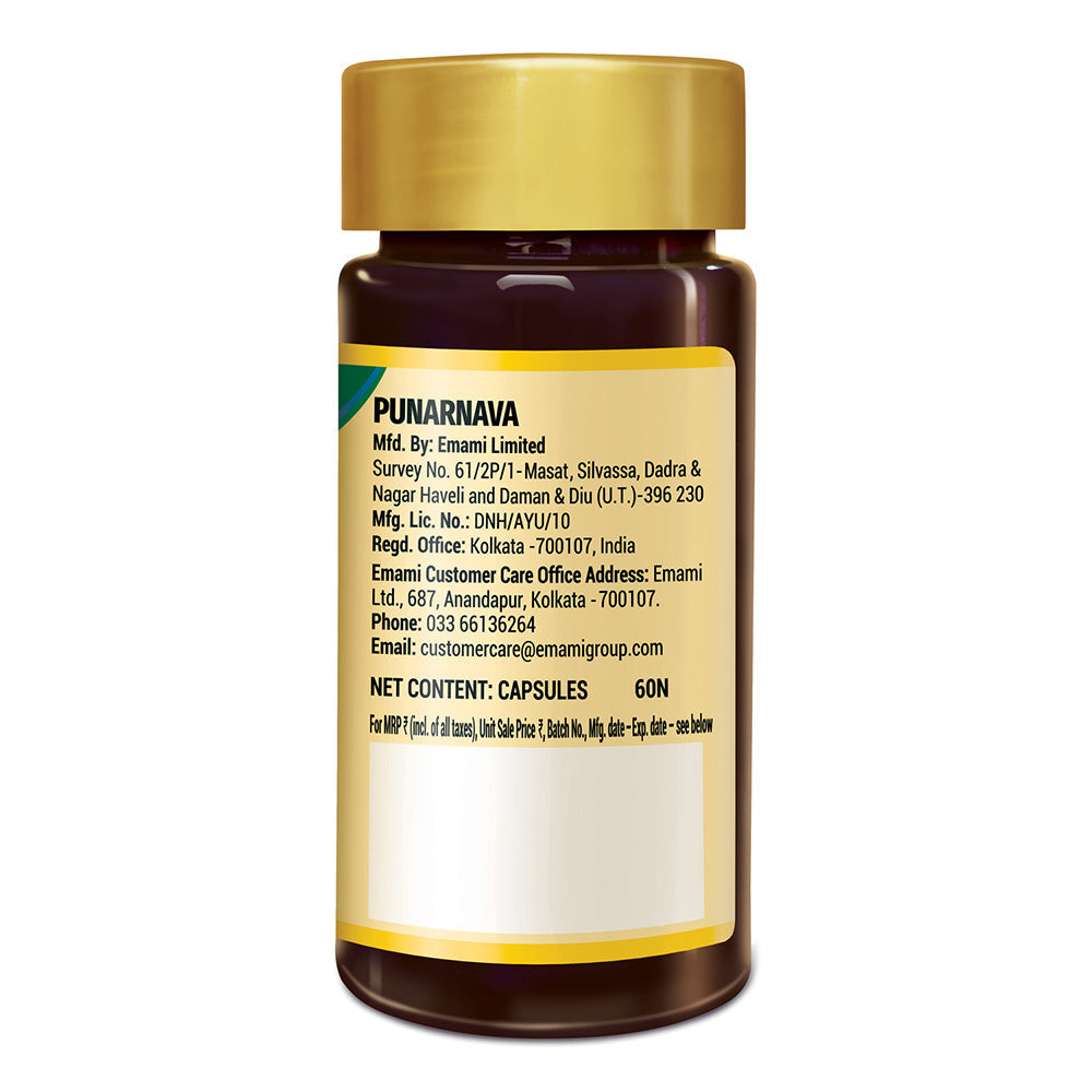 Zandu Punarnava Pure Extract 60 Capsules