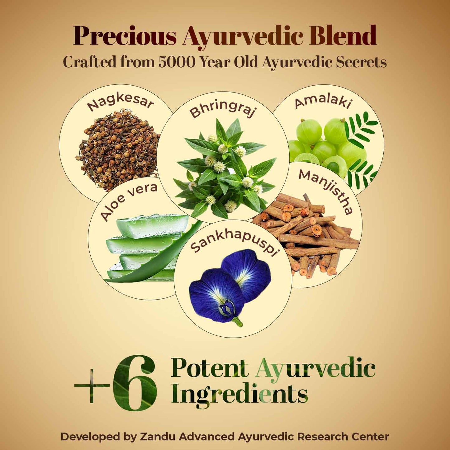 Zandu Ayurvedic Hair Growth 60 Capsule