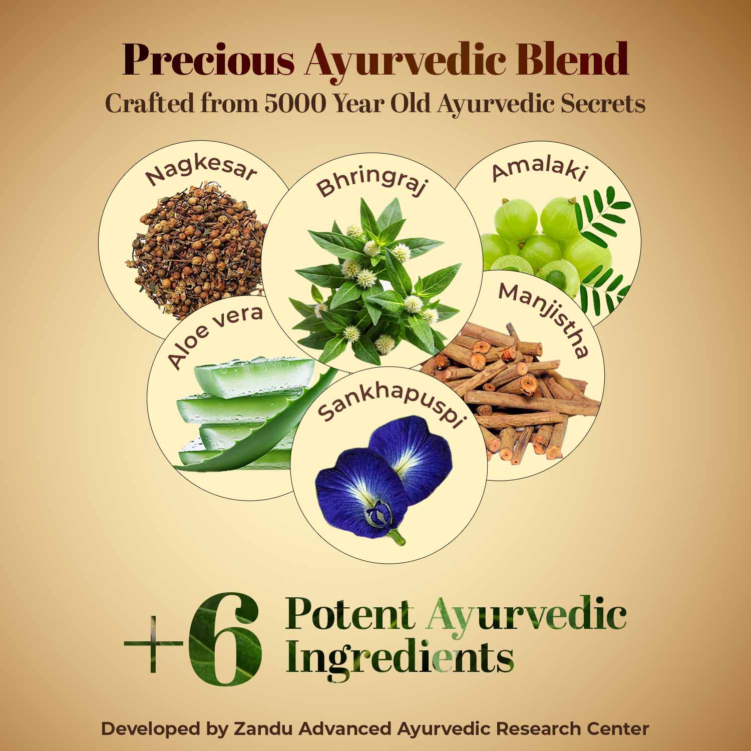 Zandu Ayurvedic Hair Growth 60 Capsule