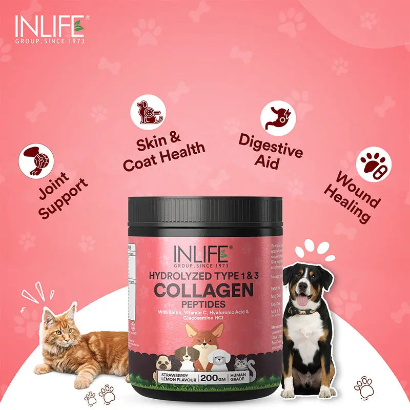 Inlife Hydrolyzed Type 1 & 3 Collagen Peptides Supplement for Pets  | Available in 3 flavors: - 19