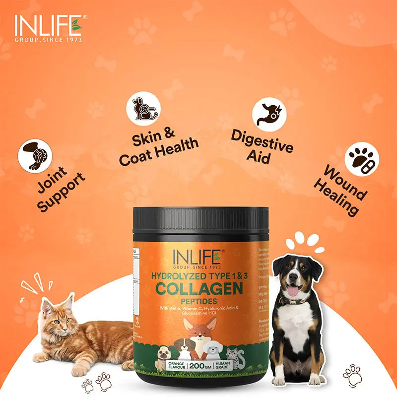 Inlife Hydrolyzed Type 1 & 3 Collagen Peptides Supplement for Pets  | Available in 3 flavors 200g