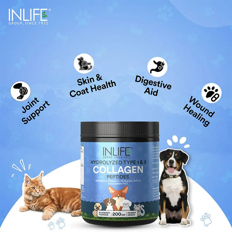 Inlife Hydrolyzed Type 1 & 3 Collagen Peptides Supplement for Pets  | Available in 3 flavors: - 12