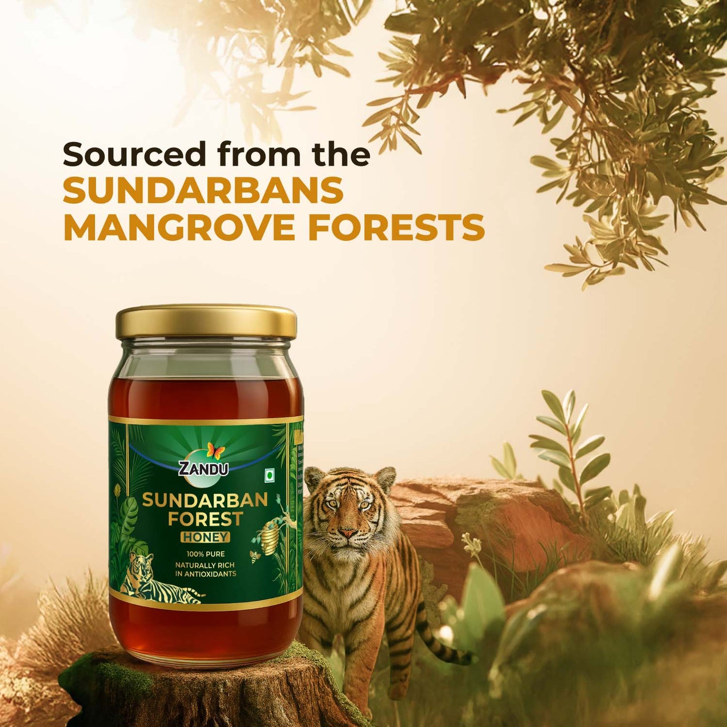 Zandu Sundarban Forest Honey 500g