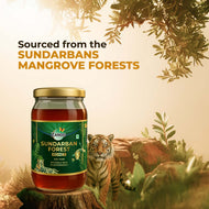 Zandu Sundarban Forest Honey 500g