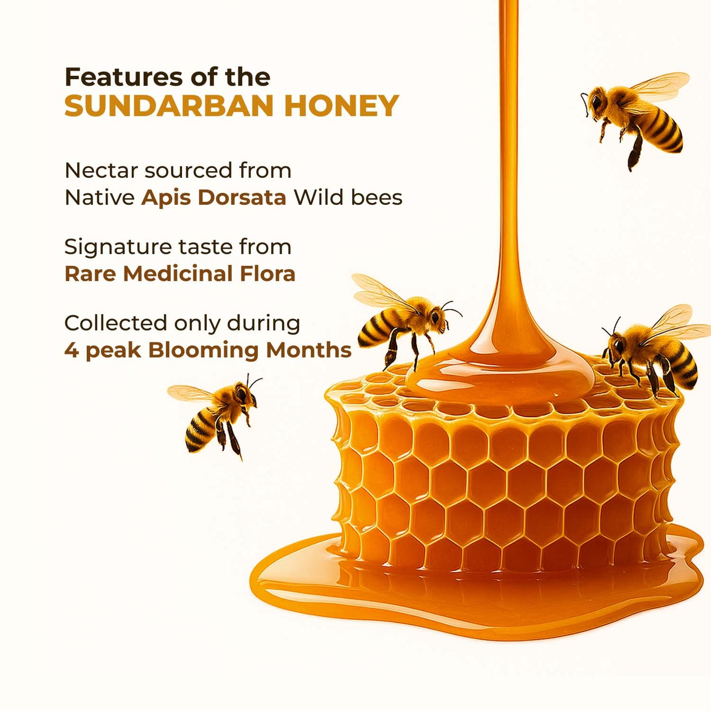 Zandu Sundarban Forest Honey 500g