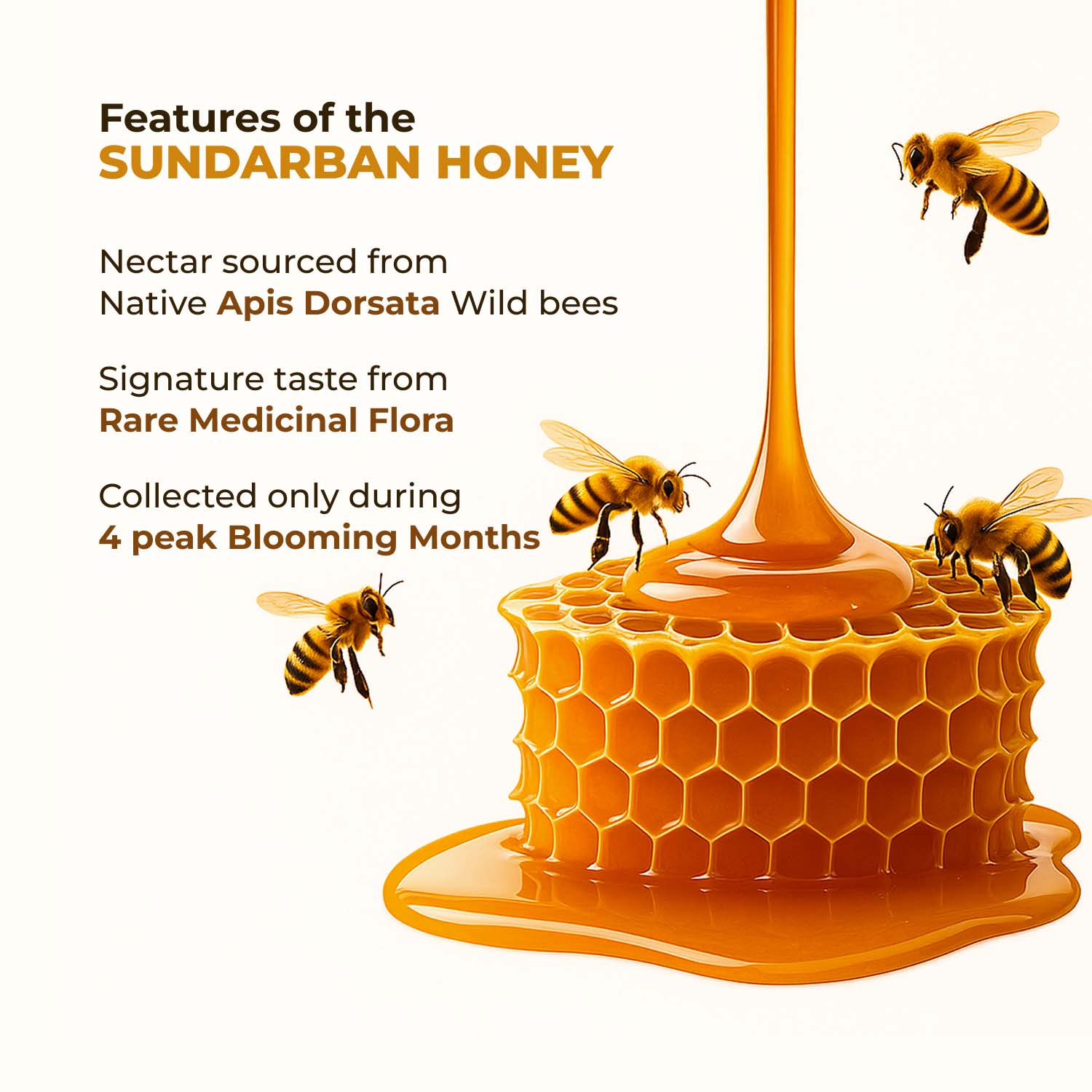 Zandu Sundarban Forest Honey 500g