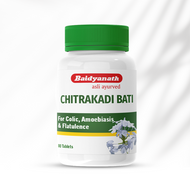 Baidyanath Chitrakadi Bati – Ayurvedic Digestive Tonic Helps Relieve Gas, Acidity & Indigestion - 80 Tablets
