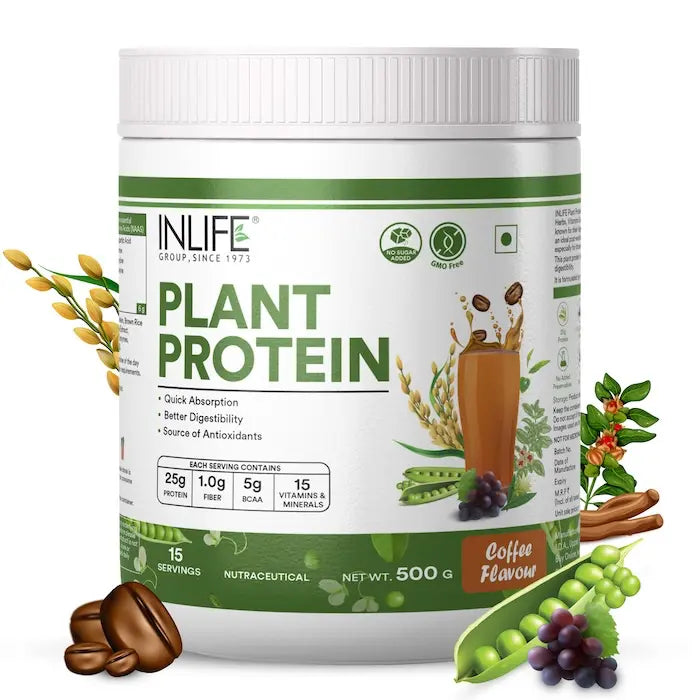 Inlife Plant Based Protein Powder Supplement | 25gms Protein (500g)