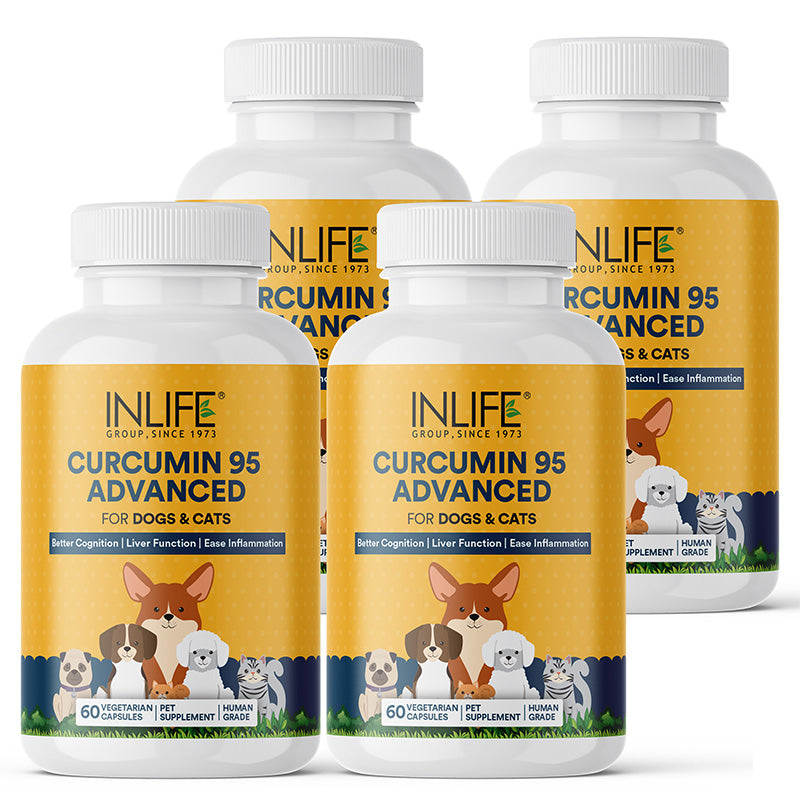 Inlife Curcumin with Piperine for Dogs Cats Pets | 95% Curcuminoids | Veg. Capsules - 8