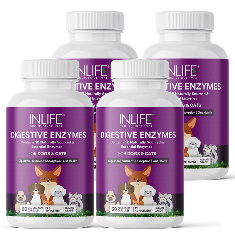 Inlife  Digestive Enzymes for Dogs Cats | 12 Naturally Sourced & Essential Enzymes | 60 Veg. Capsules