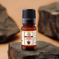 VRT Herbal Jamalghota Essential Oil 30ml