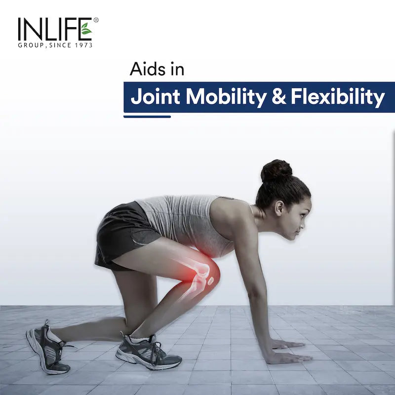 Inlife Fish Oil Capsules Omega 3 Supplement | 1000mg 60 Softgels