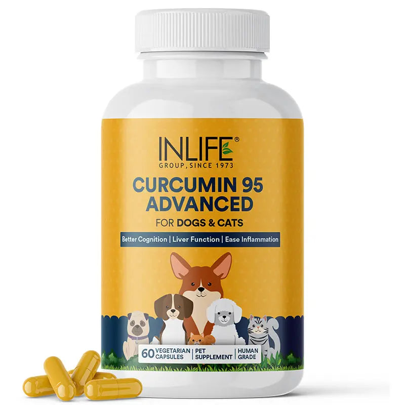 Inlife Curcumin with Piperine for Dogs Cats Pets | 95% Curcuminoids | 60 Veg. Capsules