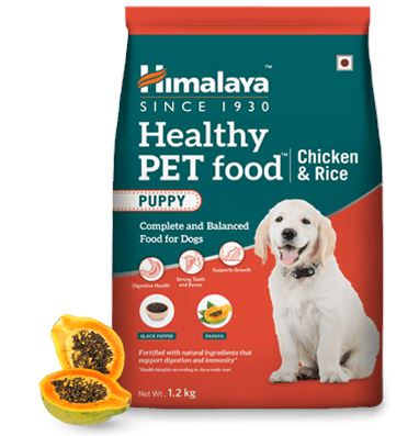 Healthy Pet Food Puppy - Chicken & Rice