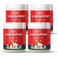 Inlife Liver Support Powder Supplement for Dogs Cats Pets | 300g (Vanilla)