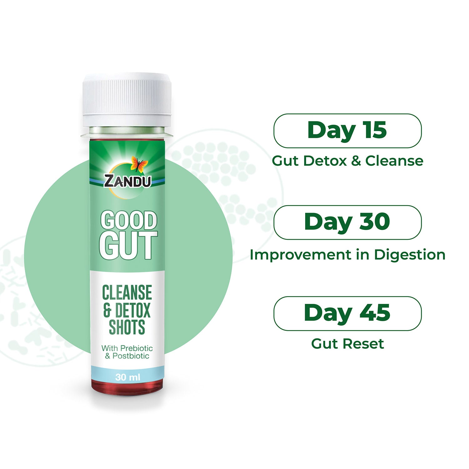 Zandu Good Gut Cleanse & Detox 30 Shots
