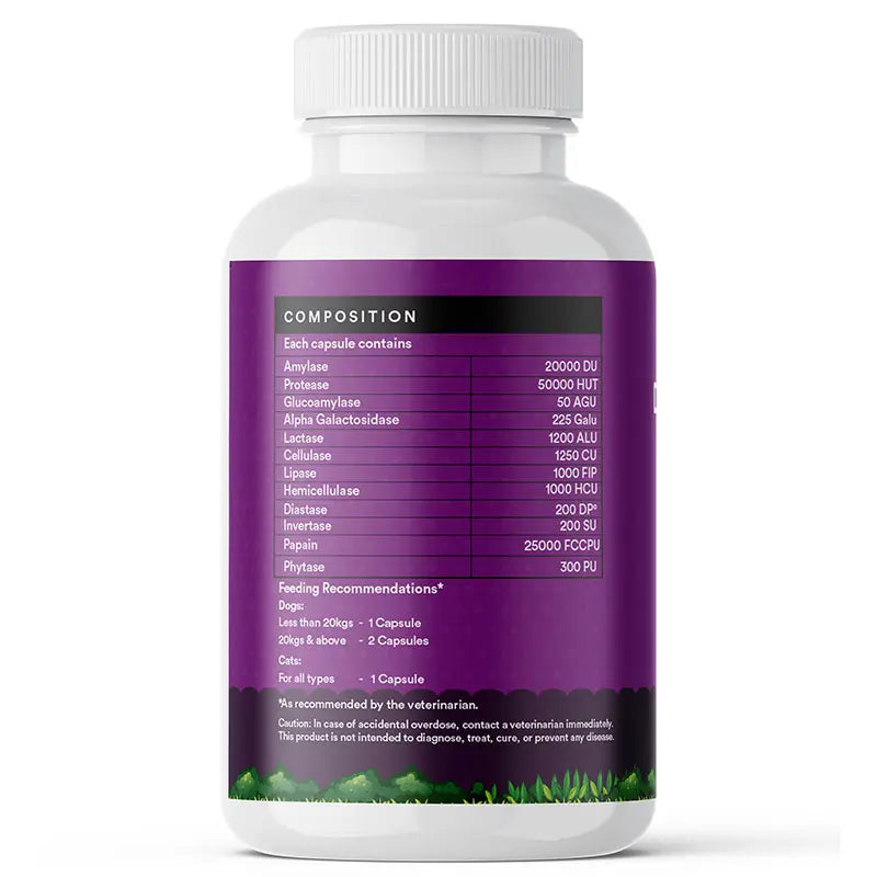 Inlife  Digestive Enzymes for Dogs Cats | 12 Naturally Sourced & Essential Enzymes | Veg. Capsules - 7