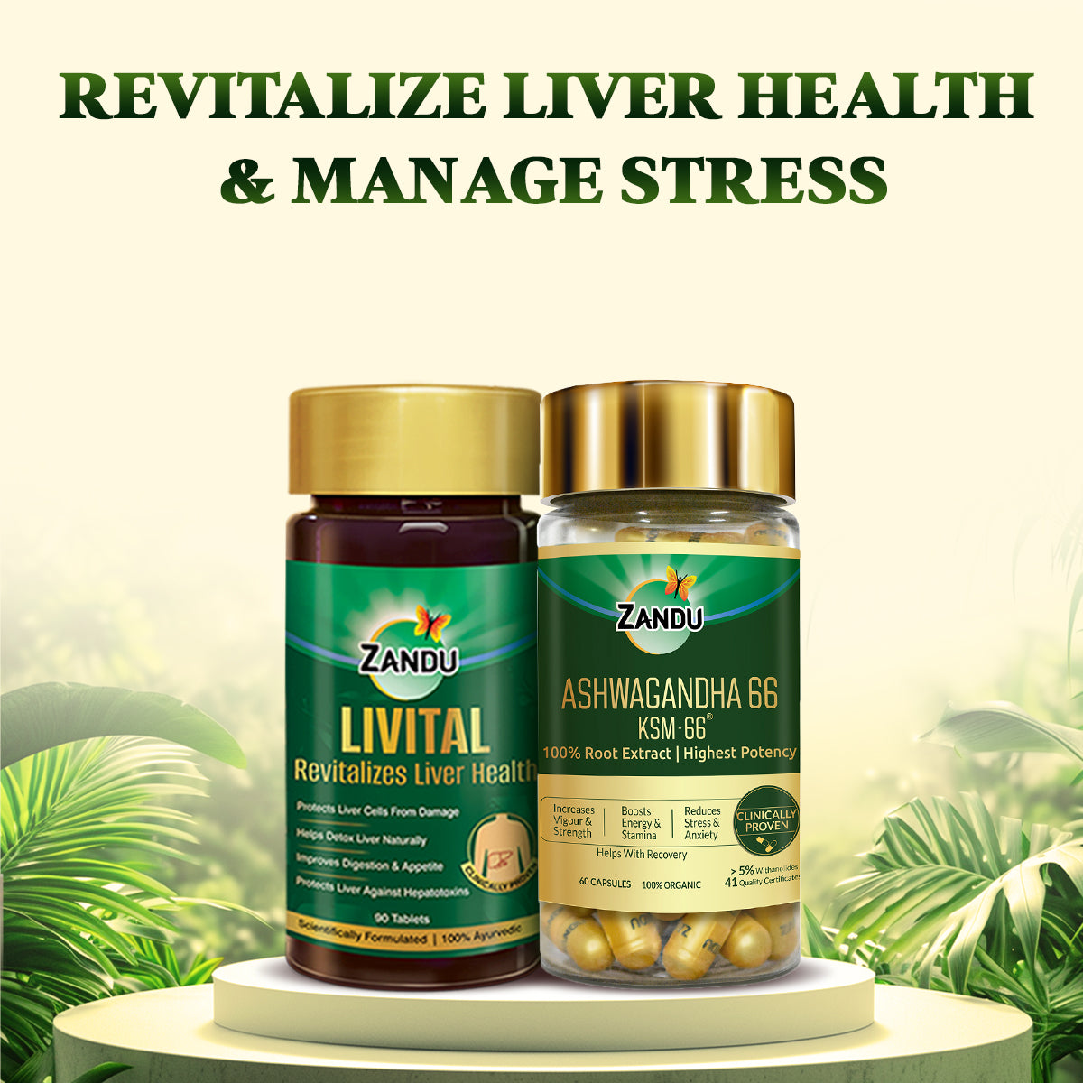 Zandu Livital (60 Tabs) + Ashwagandha KSM-66 (60 Capsules)