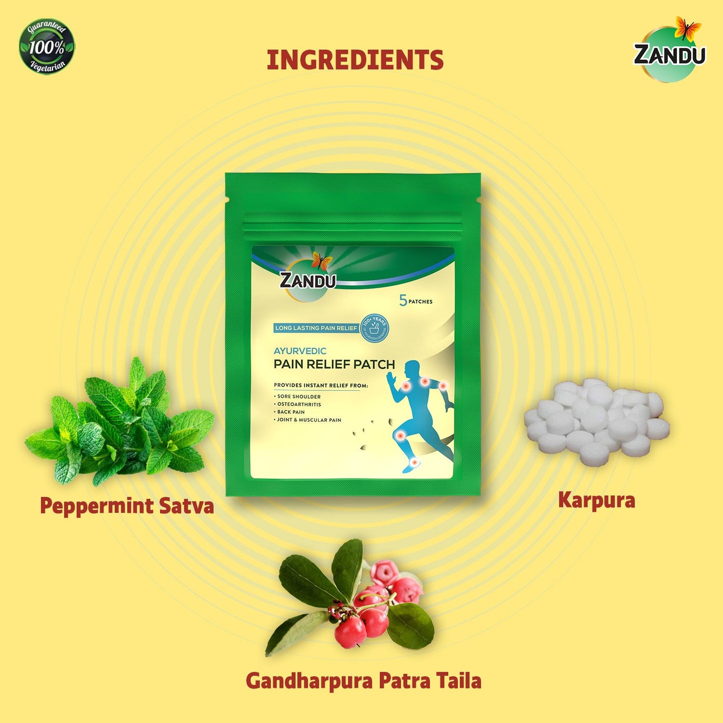 Zandu Pain Release 5 Patches