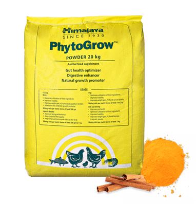 PhytoGrow