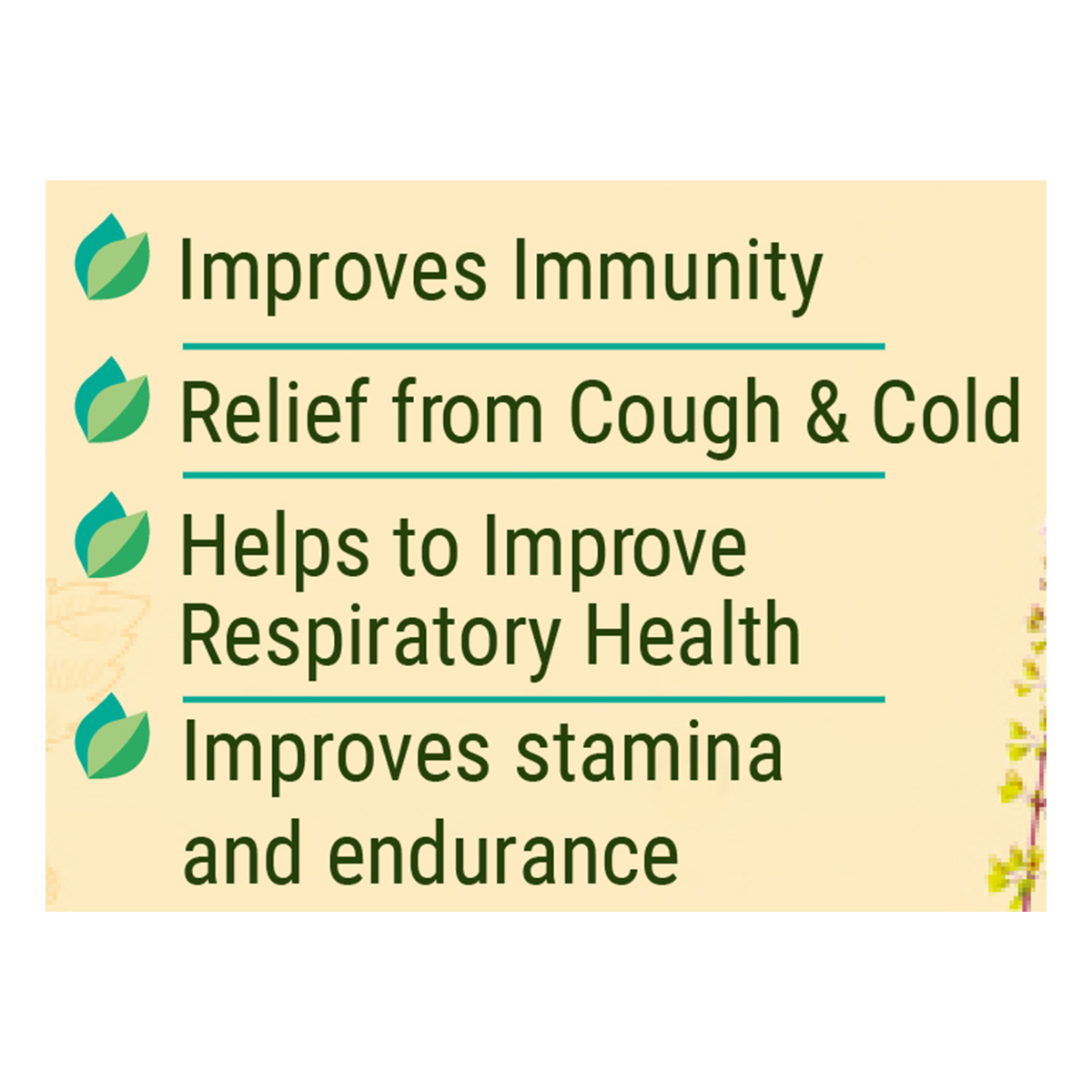 Patanjali Divya Shila Tulsi Drop 30ml