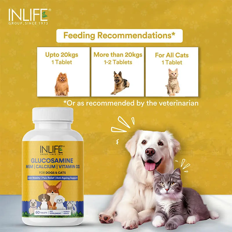 Inlife Glucosamine Tablets for Dogs & Cats | With MSM Calcium & Vitamin D3 60 Tablets