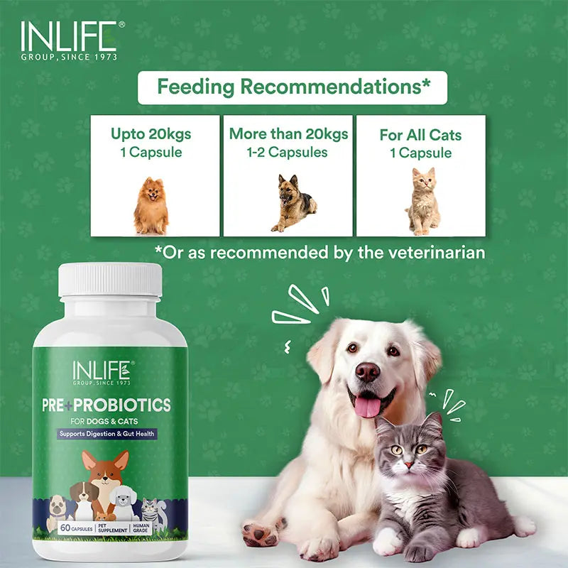 Inlife Prebiotics & Probiotics Pet Supplements for Dogs Cats 60 Capsules
