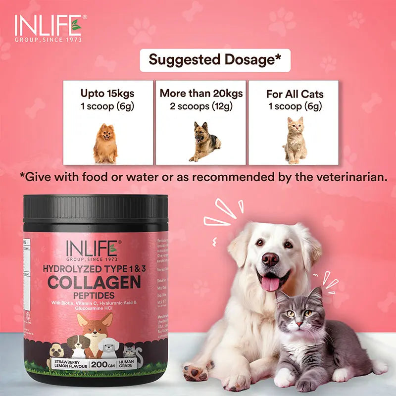 Inlife Hydrolyzed Type 1 & 3 Collagen Peptides Supplement for Pets  | Available in 3 flavors 200g