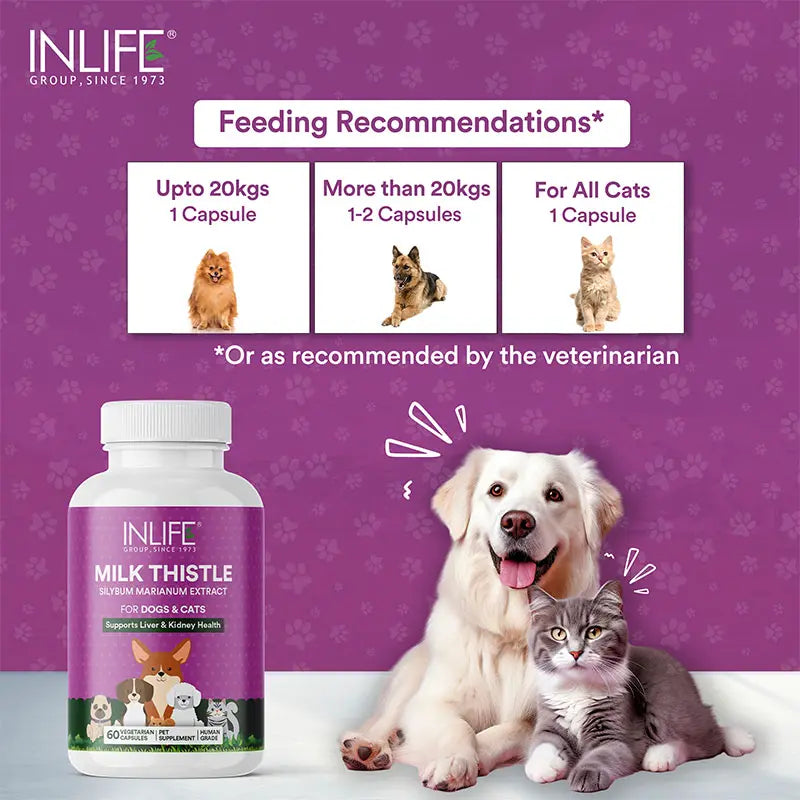 Inlife Milk Thistle Capsules for Dogs & Cats | 400mg | Veg. Capsules - 6