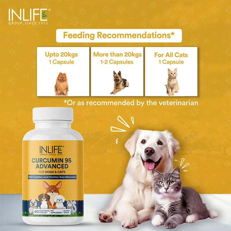 Inlife Curcumin with Piperine for Dogs Cats Pets | 95% Curcuminoids | Veg. Capsules - 3