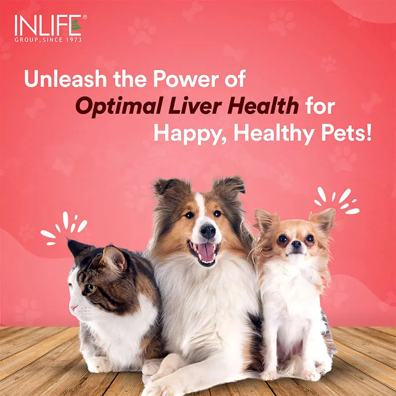 Inlife Liver Support Powder Supplement for Dogs Cats Pets | 300g (Vanilla)