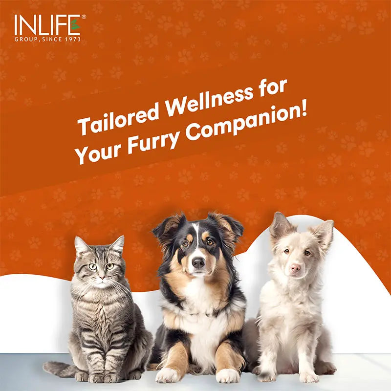 Inlife Ashwagandha for Pets, Dogs & Cats | 500mg | 60 Veg. Capsules