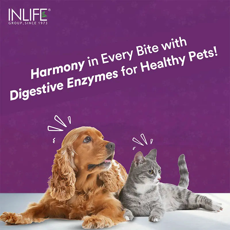 Inlife  Digestive Enzymes for Dogs Cats | 12 Naturally Sourced & Essential Enzymes | 60 Veg. Capsules