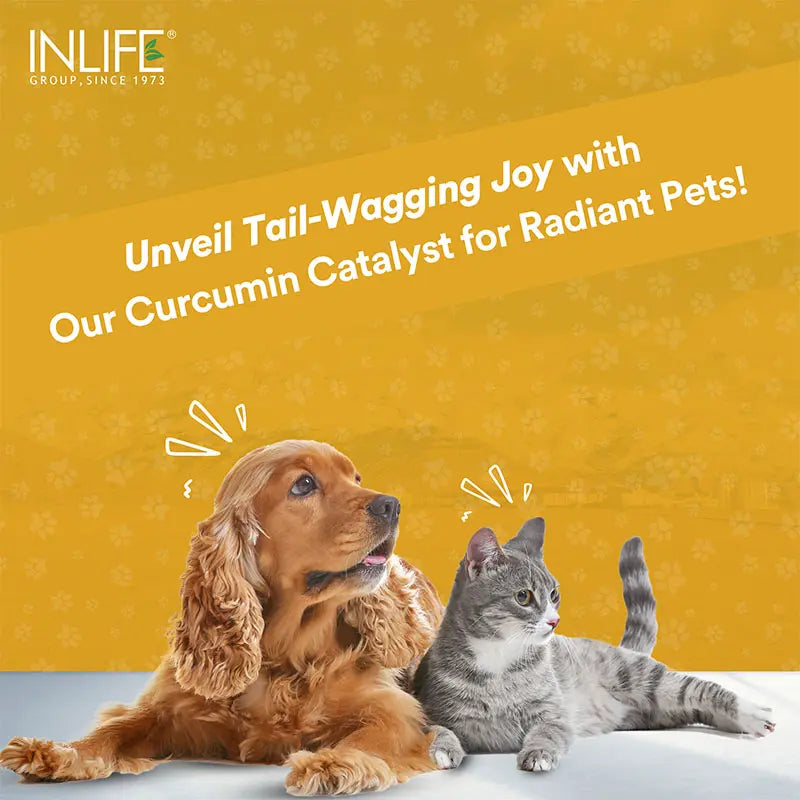 Inlife Curcumin with Piperine for Dogs Cats Pets | 95% Curcuminoids | Veg. Capsules - 4