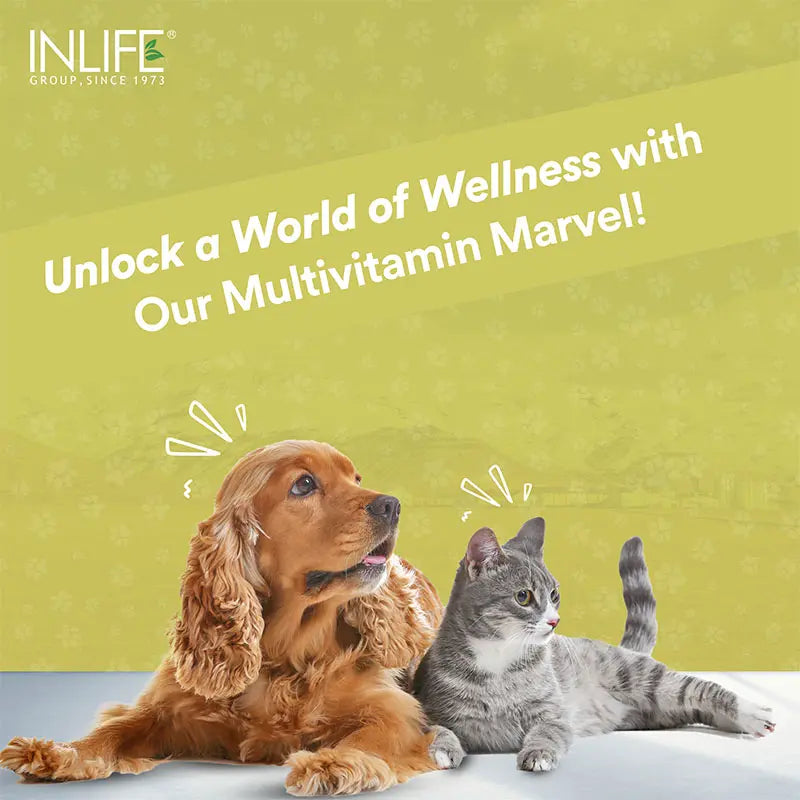 Inlife Multivitamin and Minerals Supplement for Pets 60 Tablets